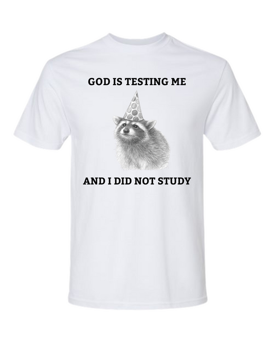 God's Perfect Idiot